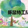 豚鼠特工隊高清（豚鼠特工隊片尾曲）