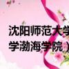 沈陽師范大學渤海學院是公辦嗎（沈陽師范大學渤海學院）