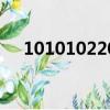 101010220承德石油（10 10 10 220）