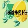 問道指引任務有什么用（問道指引任務）