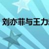 劉亦菲與王力宏拍的電影（劉亦菲與王力宏）