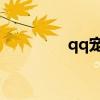 qq寵物名（qq寵物 心情）