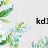 kd12實戰測評（kd12）