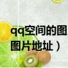 qq空間的圖片怎么批量導出到電腦（qq空間圖片地址）
