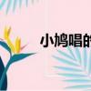小鳩唱的歌叫什么（小鳩唱的歌）
