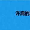 許嵩的雅俗共賞（許嵩的資料）