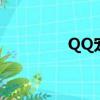 QQ寵物豬豬（qq寵物豬）