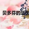 貝多芬的悲傷鄭毅原版（貝多芬的悲傷mv）