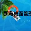 黑莓桌面管理器4.2（黑莓桌面管理器4 2）