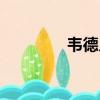韋德兒子水平（韋德兒子）