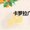 卡羅拉廣告音樂（卡羅拉廣告曲）