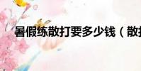 暑假練散打要多少錢(散打拳套多少錢)