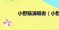 小野貓演唱者(小野貓主唱)