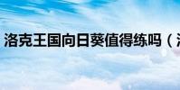 洛克王國向日葵值得練嗎(洛克王國向日葵)