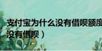 支付寶為什么沒有借唄額度了(支付寶為什么沒有借唄)