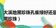 大溪地黑珍珠孔雀綠好還是黑色的好(大溪地黑珍珠)