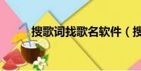 搜歌詞找歌名軟件(搜歌詞找歌)