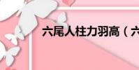 六尾人柱力羽高(六尾火狐)