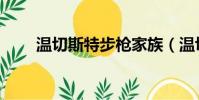 溫切斯特步槍家族(溫切斯特步槍)