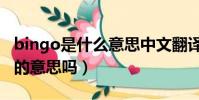 bingo是什么意思中文翻譯(bingo是答對了的意思嗎)