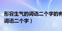 形容生氣的詞語二個字的有哪些(形容生氣的詞語二個字)