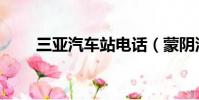 三亞汽車站電話(蒙陰汽車站電話)