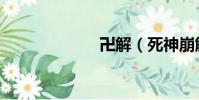 卍解(死神崩解)