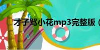 才子罵小花mp3完整版(才子罵小花)