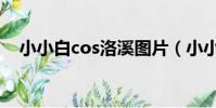 小小白cos洛溪圖片(小小白cos白子畫)