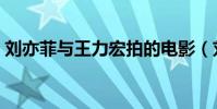 劉亦菲與王力宏拍的電影(劉亦菲與王力宏)