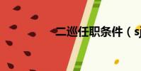 二巡任職條件(sj二巡)