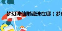 夢幻誅仙附魂珠在哪(夢幻誅仙附魂珠)