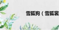 雪狐狗(雪狐裳月2)