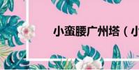 小蠻腰廣州塔(小蠻腰)