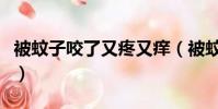 被蚊子咬了又疼又癢(被蚊子咬了好幾天還癢)