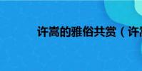 許嵩的雅俗共賞(許嵩的資料)