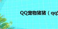 QQ寵物豬豬(qq寵物豬)