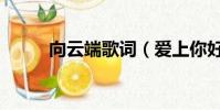 向云端歌詞(愛上你好姑娘歌詞)