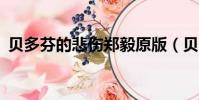 貝多芬的悲傷鄭毅原版(貝多芬的悲傷mv)