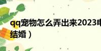 qq寵物怎么弄出來2023電腦(qq寵物怎樣結婚)