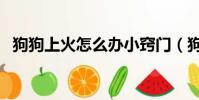 狗狗上火怎么辦小竅門(狗狗上火怎么辦)