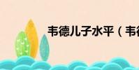 韋德兒子水平(韋德兒子)