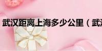 武漢距離上海多少公里(武漢到上海的動車)