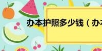 辦本護照多少錢(辦本科文憑)