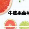 牛油果藍莓汁的做法（藍莓汁的做法）