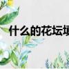 什么的花壇填空詞語一年級（什么的花壇）
