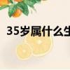 35歲屬什么生肖什么命（35歲屬什么生肖）