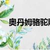 奧丹姆駱駝雕像宏（英雄的召喚 奧丹姆）