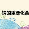 鈉的重要化合物說課ppt（鈉的重要化合物）