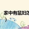 家中有鼠婦怎么處理（家里有鼠婦對人有害嗎）